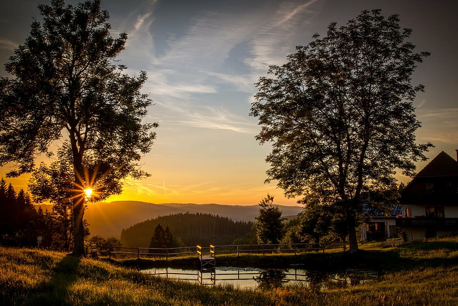 sunset with two trees and one bridge, dusk, abendstimmung, afterglow HD wallpaper
