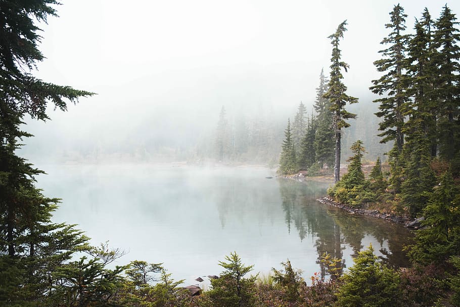 landscape photography of lake and forest, body of water beside trees HD wallpaper