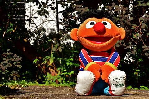 Sesame Street pluhs toy on ground, Plush, Cute, Fun, Toys, ernie HD wallpaper