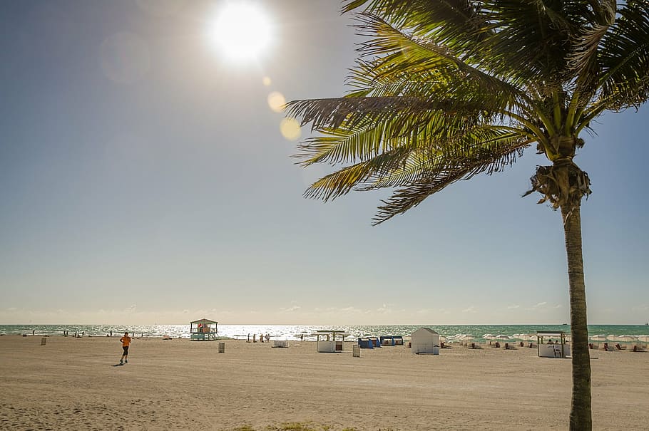 group of people on the beach during daytime, seashore, near HD wallpaper