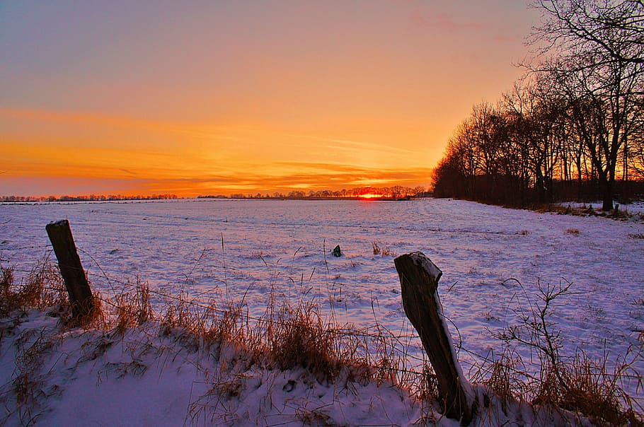 Winter, Snow, Wintry, Nature, Cold, white, cold temperature HD wallpaper