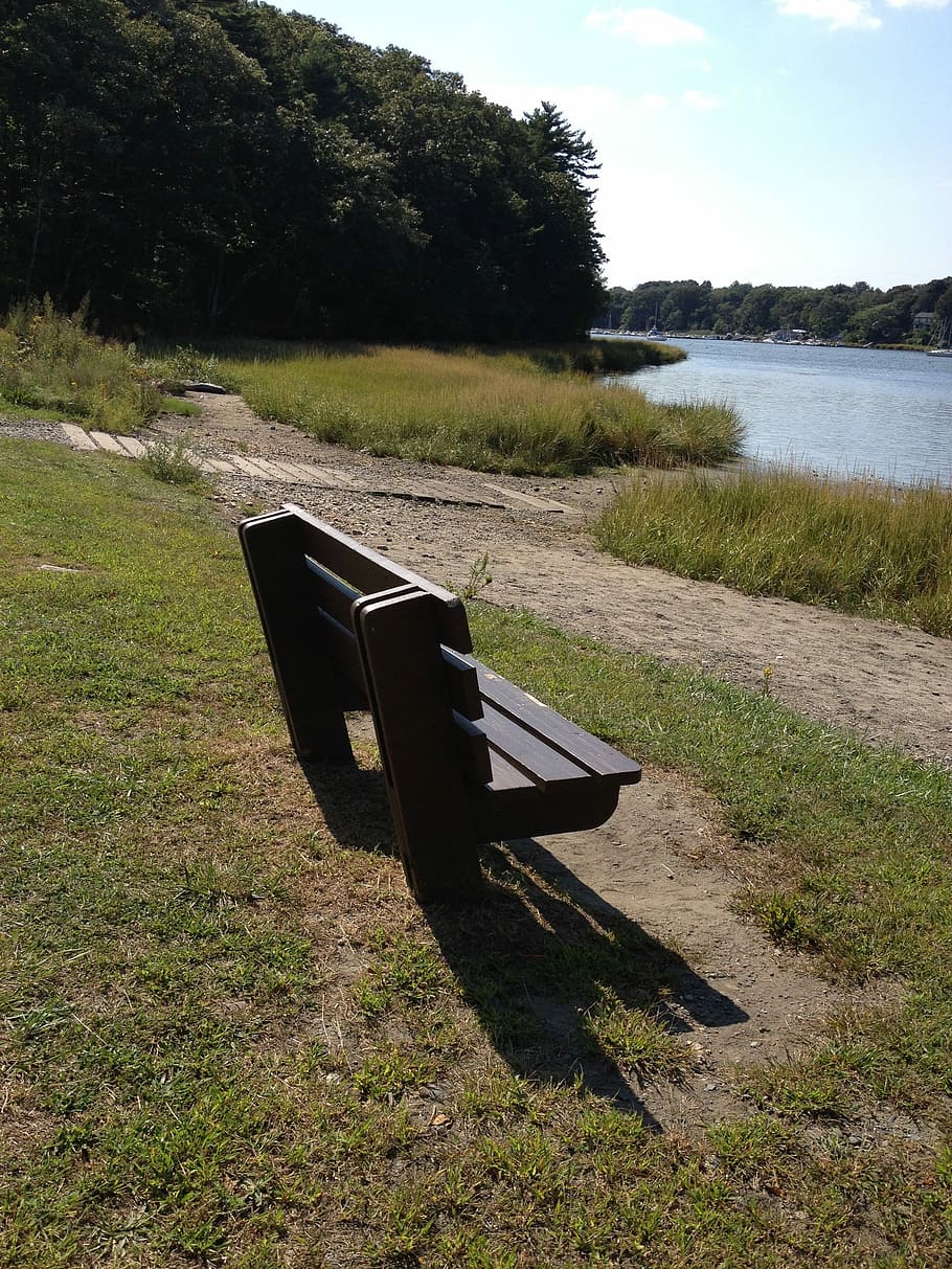 Bench, Quiet, Think, Outdoor, park, tranquil, relax, path, absence HD wallpaper
