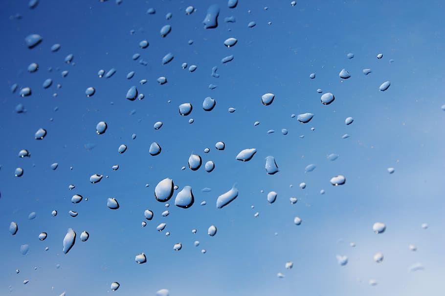 water drops photo, rain, after the rain, a drop of, drop of rain, HD wallpaper