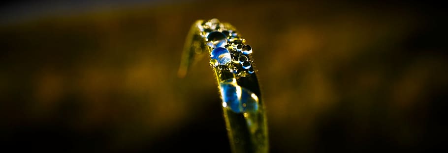 sky, grass, reflection, meadow, close-up, no people, wealth HD wallpaper