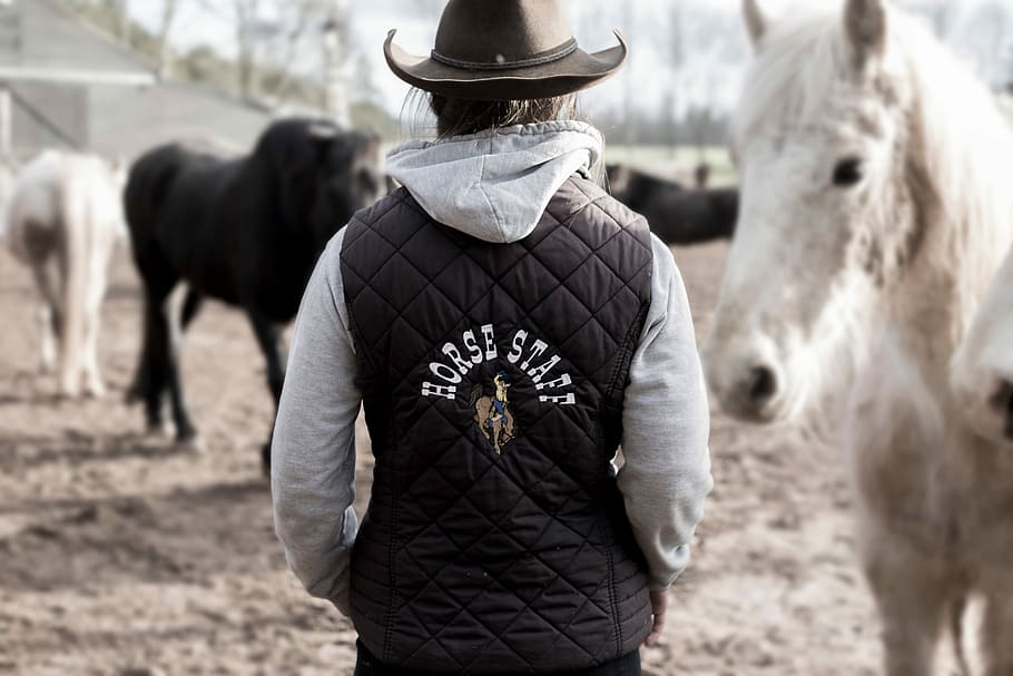 person wearing gray and black Horse Staff print jacket and black leather cowboy hat HD wallpaper