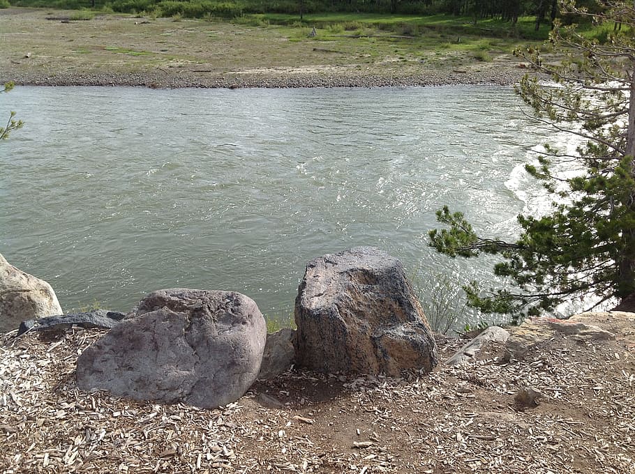 water, rocks, river, environment, stream, wilderness, outdoor HD wallpaper