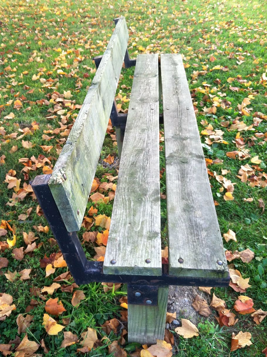 bench, leaves, nobody, autumn, nature, day, plant, high angle view HD wallpaper