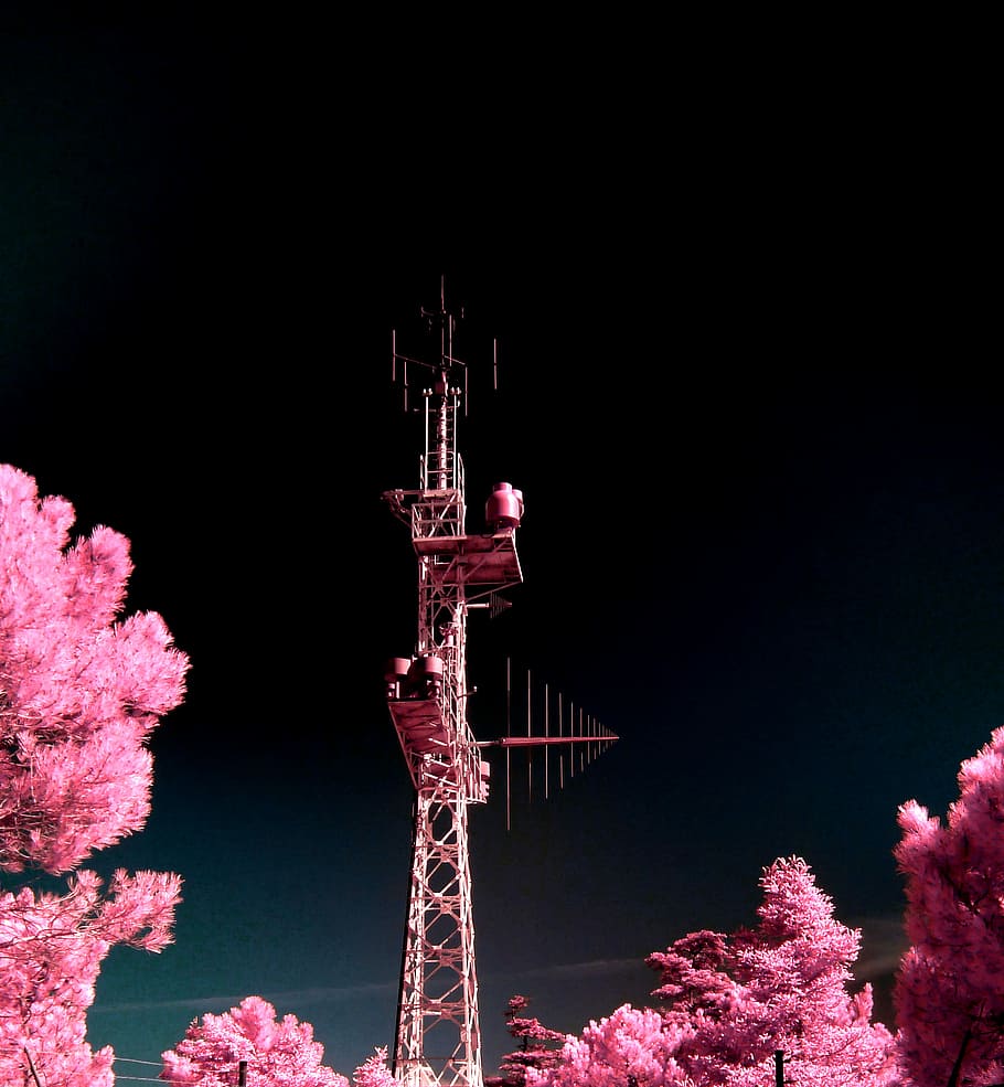 brown tower between pink leaf trees at nighttime, brown steel tower during night time HD wallpaper