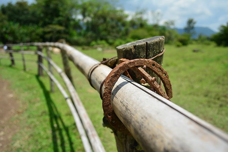 horseshoe, ring, sun, metal, steel, rusty, iron - Metal, focus on foreground HD wallpaper