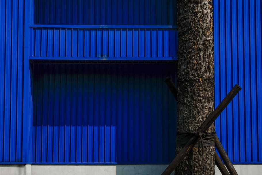brown tree trunk near blue wall, gray tree, exterior, shadow, HD wallpaper