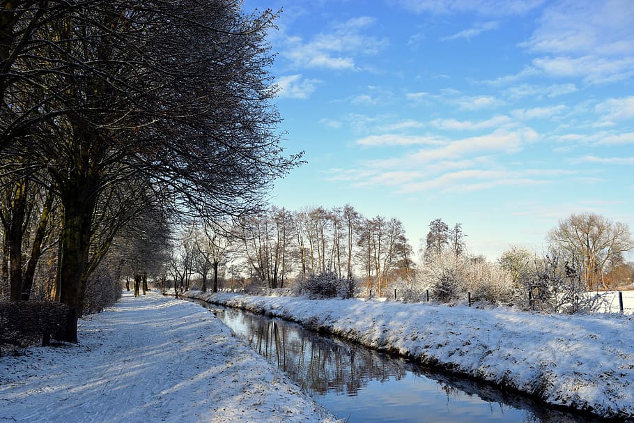 green trees, winter, walk, river, snow, wintry, winter hike HD wallpaper