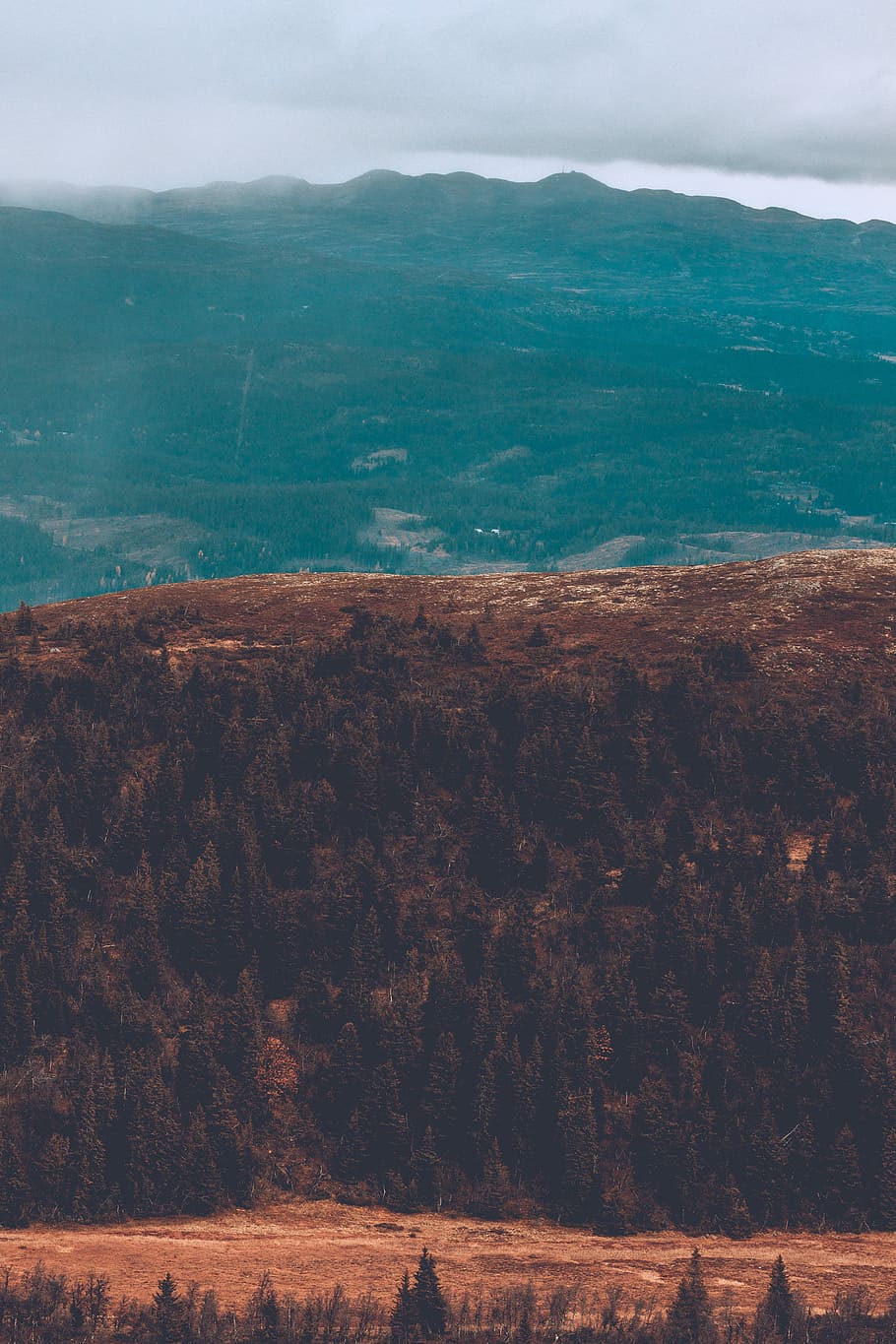 green trees under grey sky, aerial photography of land, landscape HD wallpaper