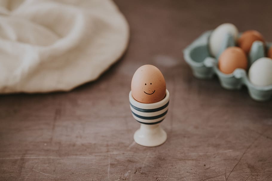 selective focus photography of brown egg, selective focus photography of native egg, HD wallpaper