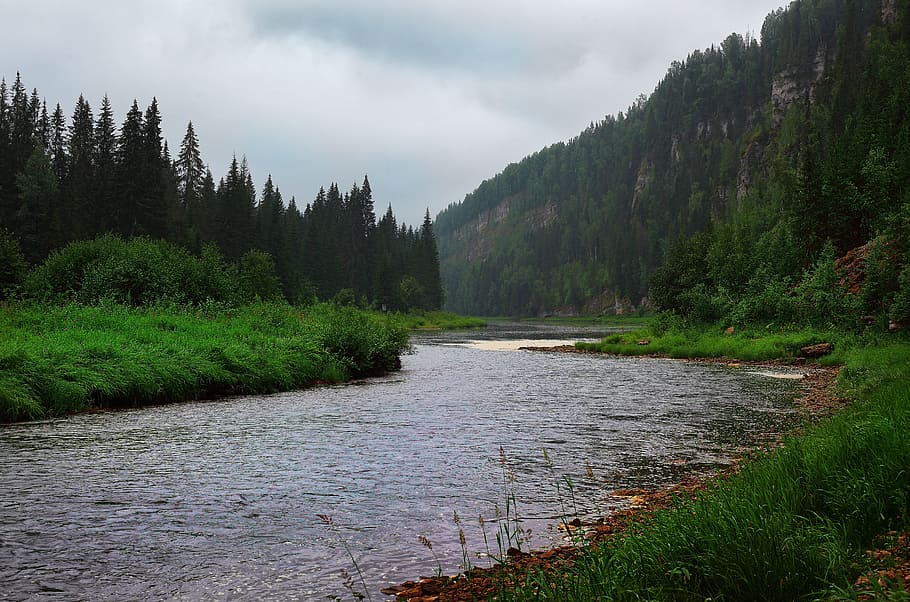 Usva, River, Clouds, Mountains, summer, mountain river, journey HD wallpaper
