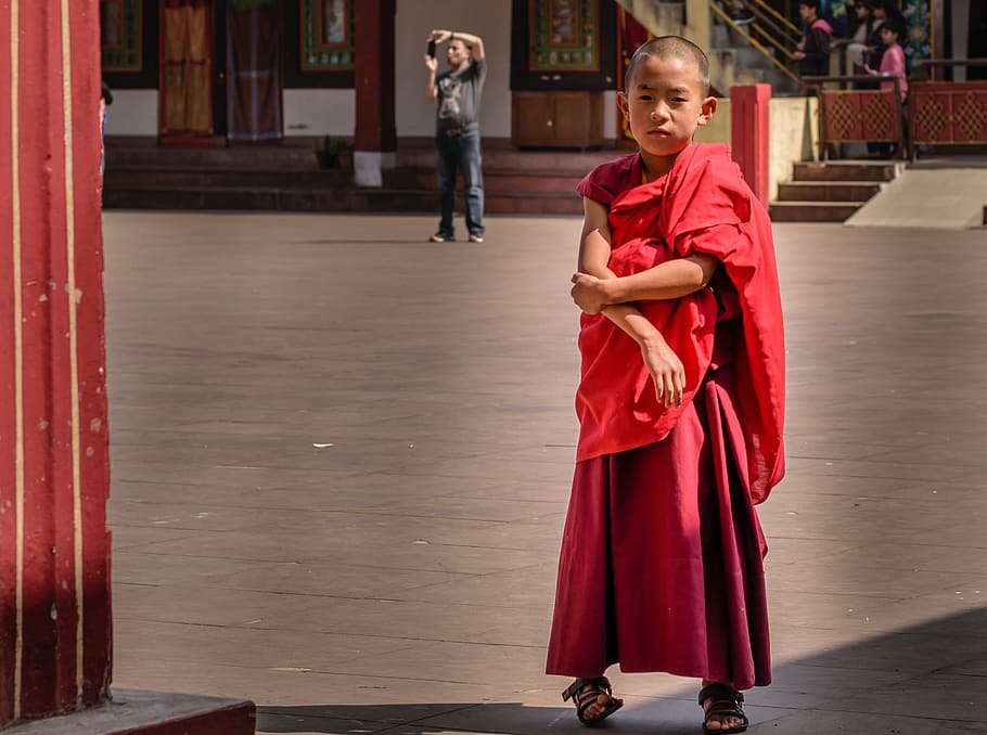 small monk, monastery, single monk, religious, asia, buddhism HD wallpaper