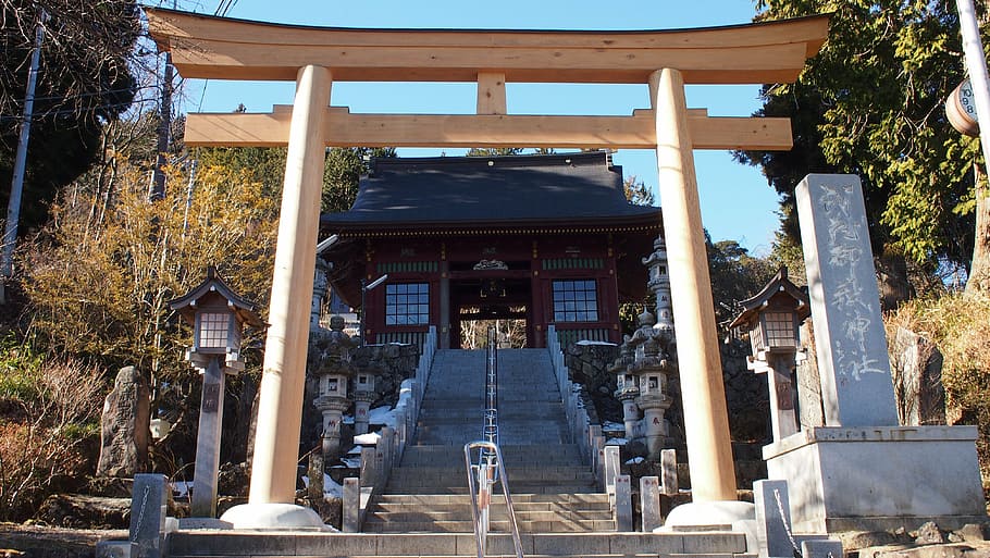 torii, shrine, japan, architecture, famous Place, cultures HD wallpaper