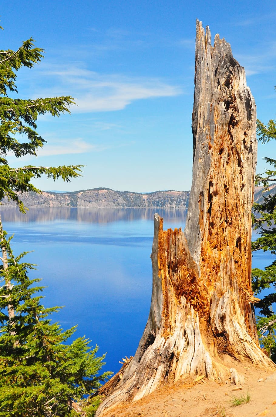 crater, lake, mountain, tree, old, oregon, tourism, park, landmark HD wallpaper