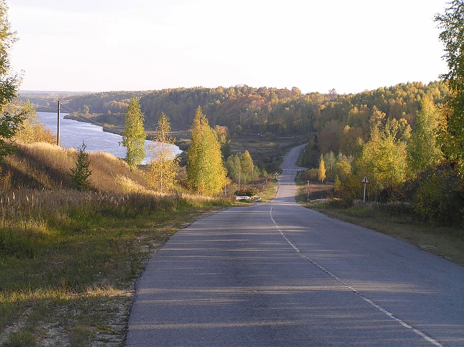 road, autumn, river, forest, nature, tree, landscape, outdoors HD wallpaper