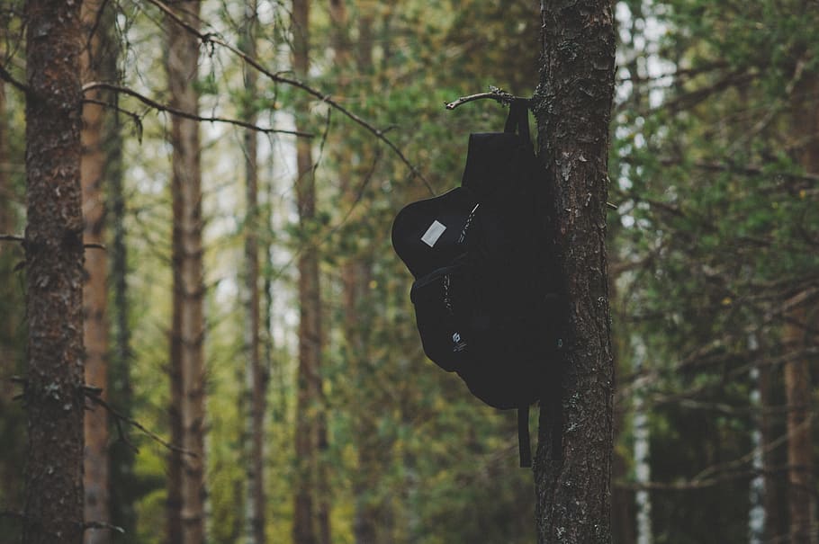 Black Backpack Hanging on Tree, bark, blurred background, branches HD wallpaper