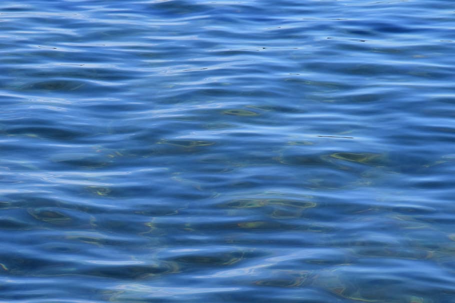 body of water, wave, background, reflection, nature, gopher HD wallpaper