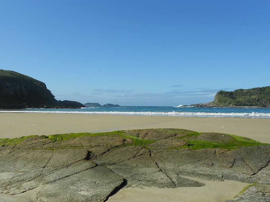 beach, shells, mar, beira mar, sand, rio de janeiro, brazil HD wallpaper