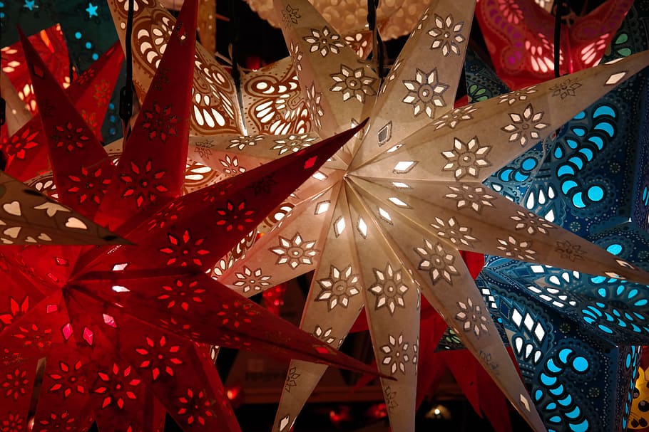assorted-color star lighted decors, poinsettia, red, blue, white, HD wallpaper