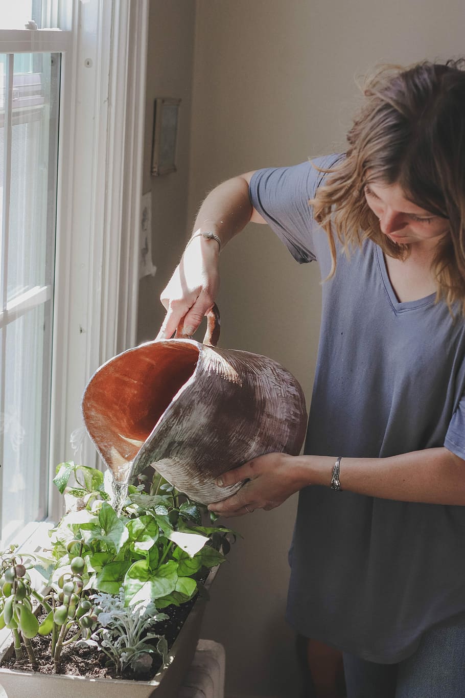woman watering plant beside window, woman watering the plants HD wallpaper