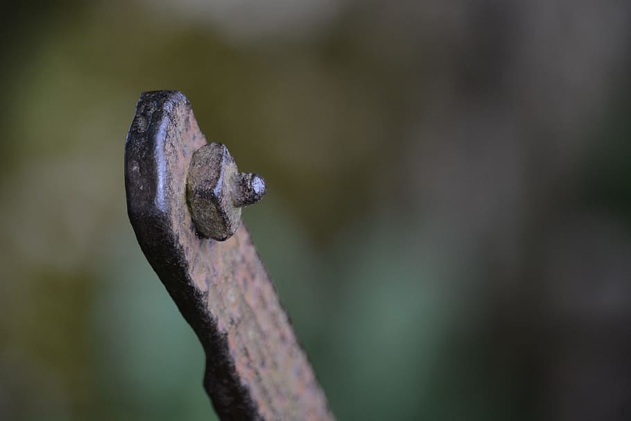 Technology, Metal, Connection, Old, screw, pin, mother, one animal HD wallpaper