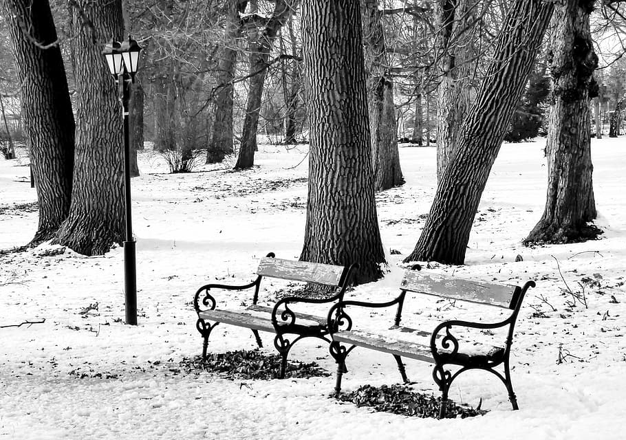 winter, park, pad, snow, serenity, january, nature, trees, lamp HD wallpaper