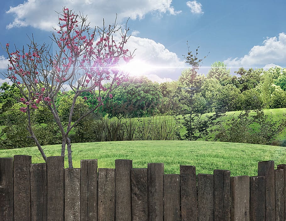 landscape, about, relief, forest, farm, green, nature, roça HD wallpaper