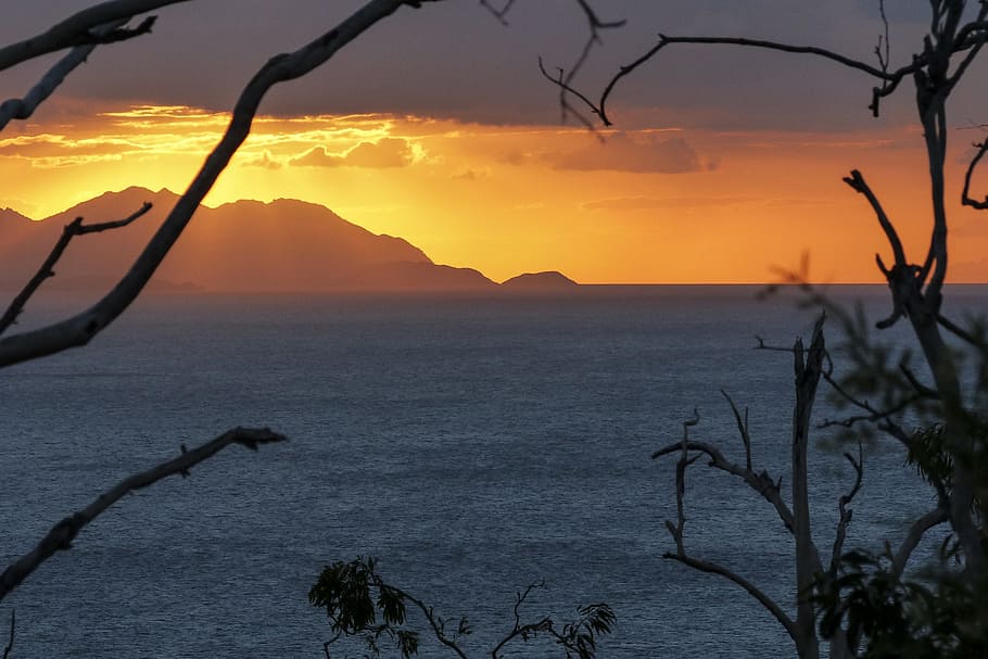 blue sea during sunset, glowing, red, branches, mountains, ocean HD wallpaper