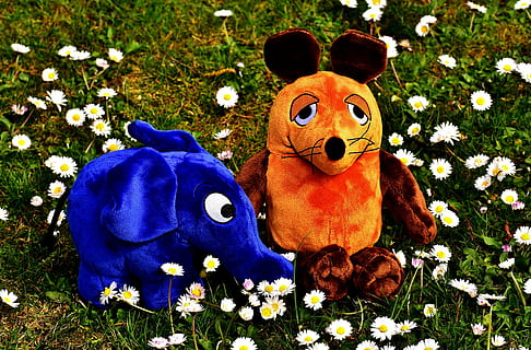 two blue elephant and brown and orange mouse plush toys on white flower field at daytime HD wallpaper