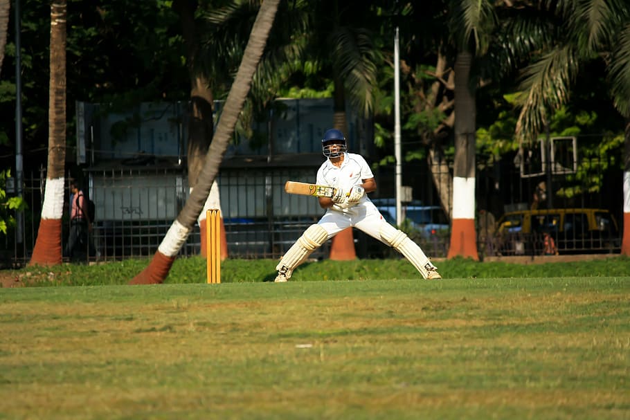 cricket, batsman, player, batting, sports, ball game, cricketer HD wallpaper