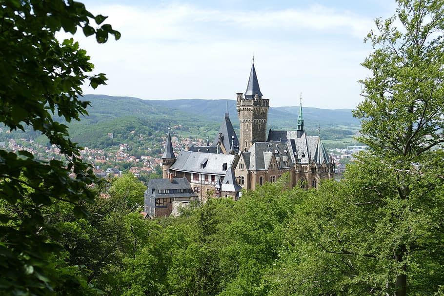 Castle, Wernigerode, Forest, Nature, middle ages, fortress HD wallpaper