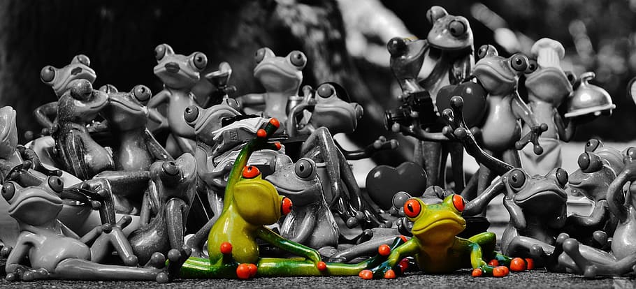 selective color of green frog, frogs, many, group, collection HD wallpaper