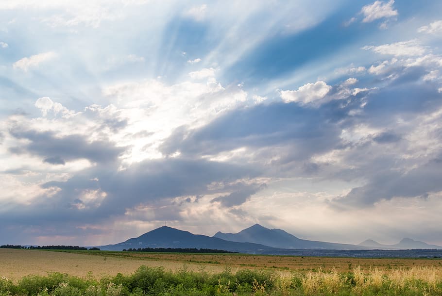 grass field during daytime, sky, landscape, nature, summer HD wallpaper