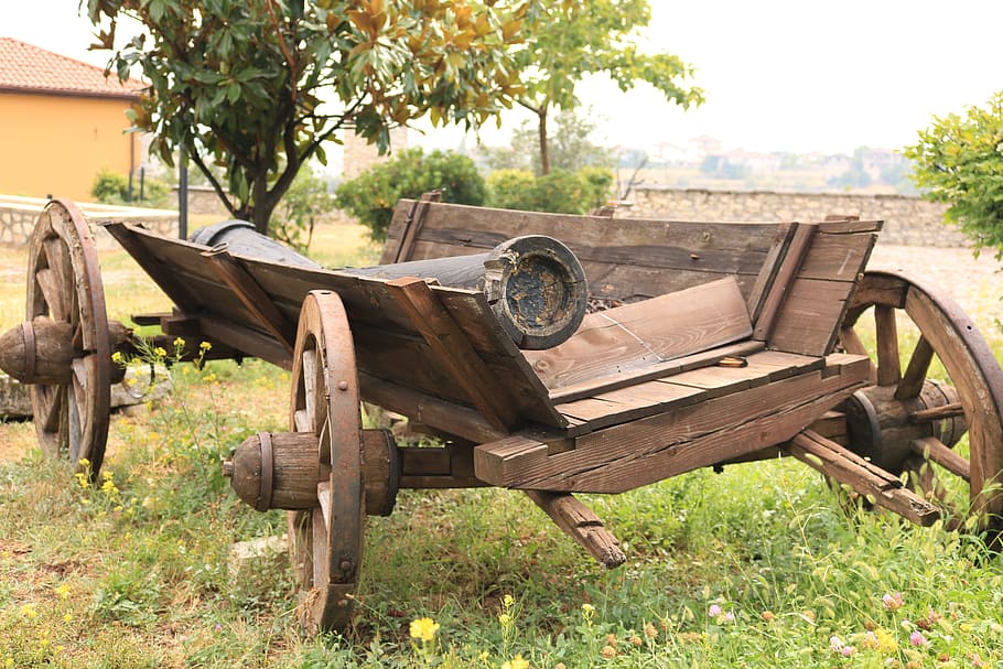 safranbolu, horse-drawn carriage, nostalgia, on, old, plant
