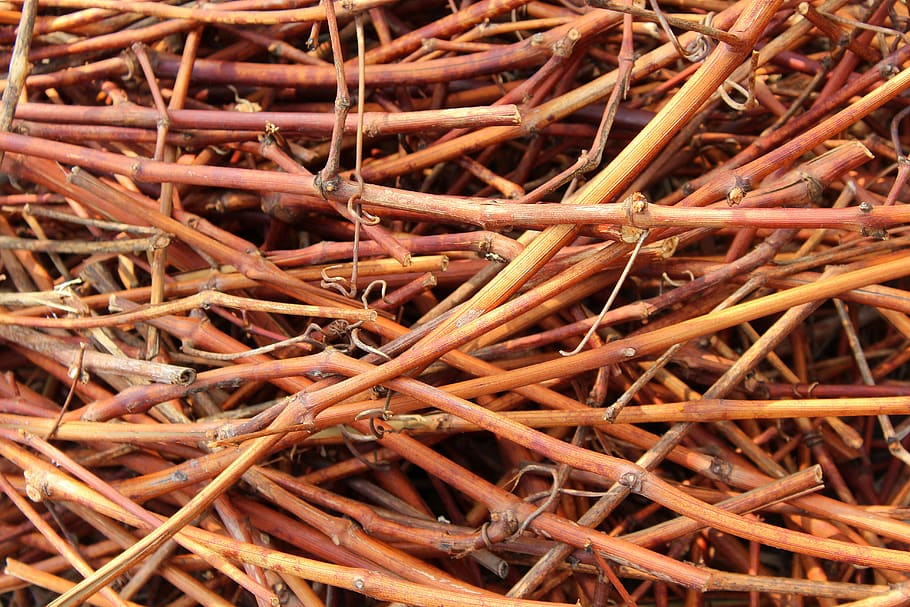 sticks, dry, spring cleaning, nature, model, texture, invoice HD wallpaper