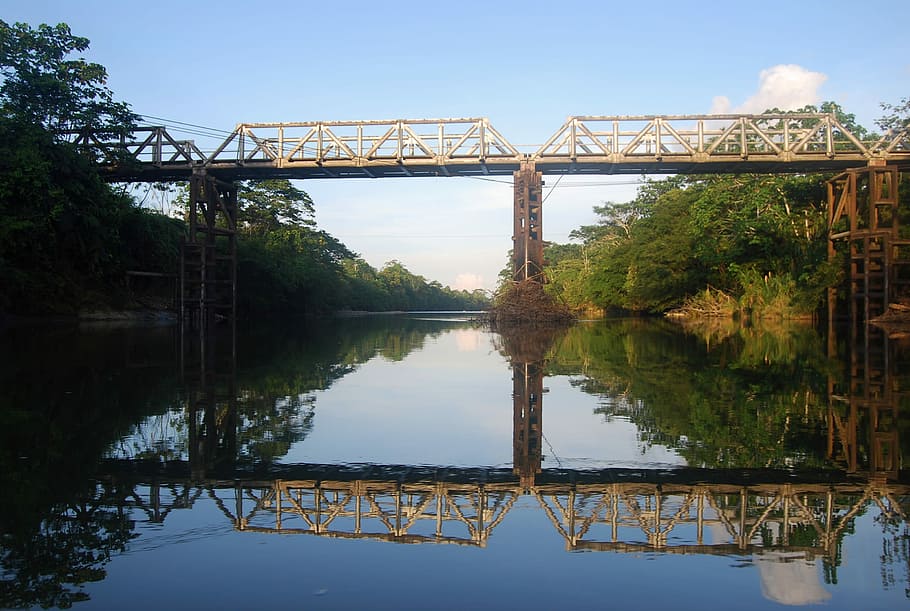 Amazon, Bridge, Reflection, Water, brightness, mirror, landscape HD wallpaper