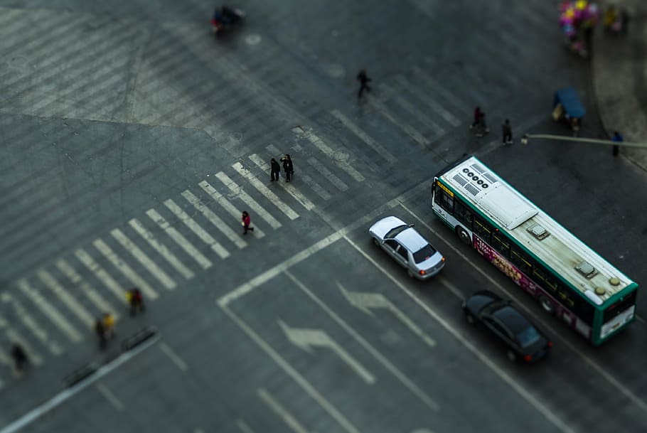 zebra crossing, shift, documentary, street, view, city life HD wallpaper
