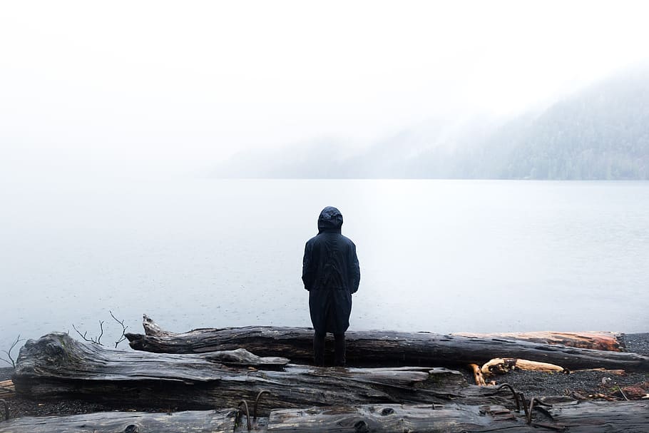 man standing beside tree logs facing body of water, person standing on seashore at daytime HD wallpaper