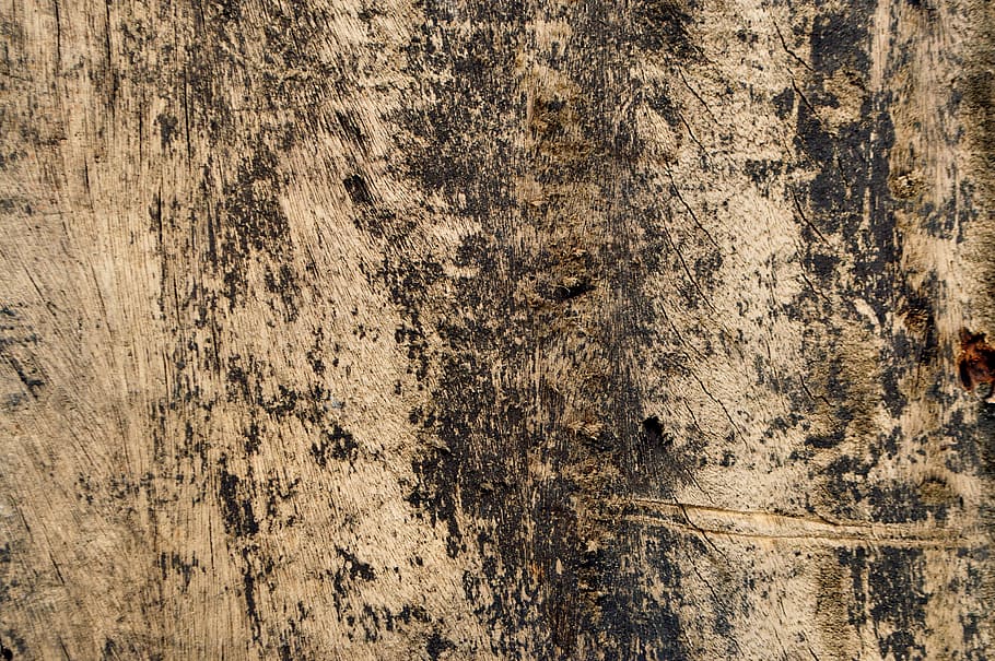 texture, wood, background, textured, backgrounds, full frame HD wallpaper