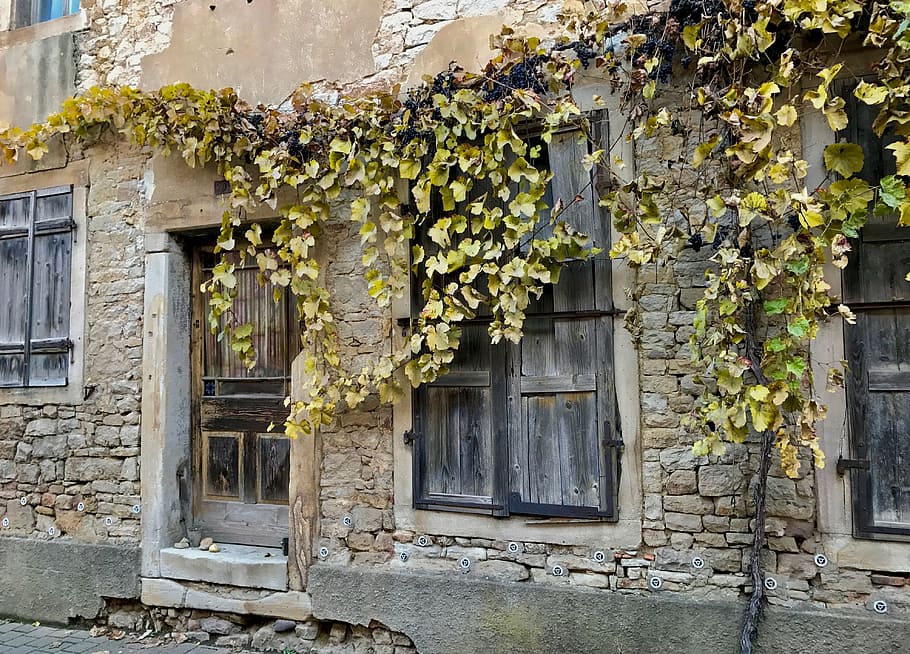 closed brown wooden door and windows of building, wine, wall HD wallpaper