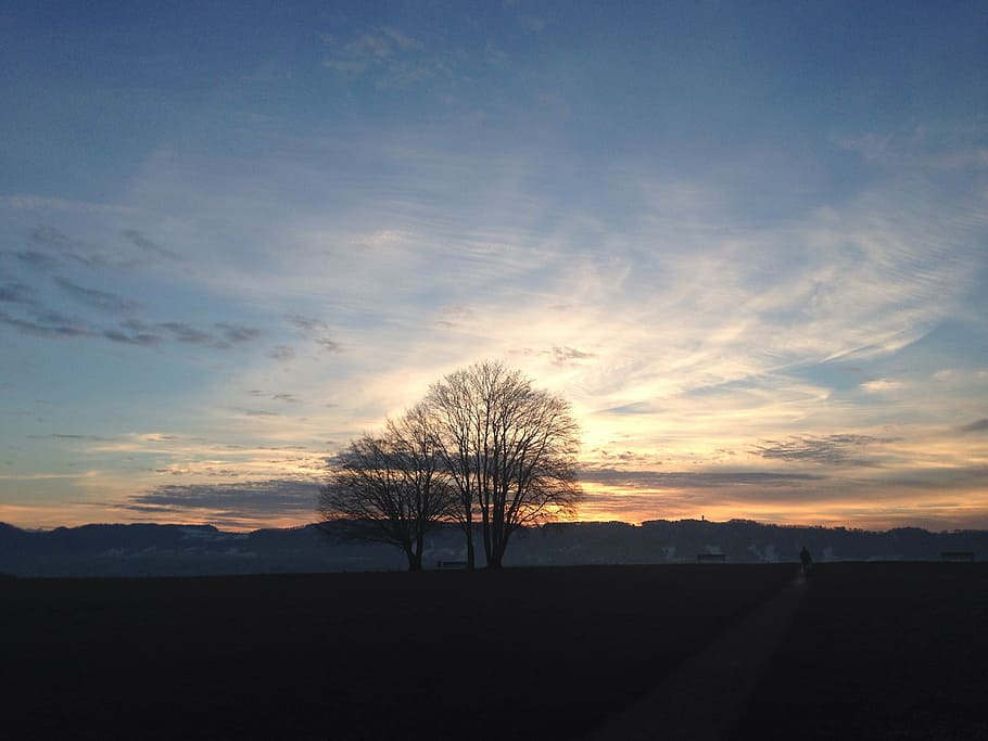 tree, sky, sunset, zollikon, switzerland, nature, mood, sad HD wallpaper