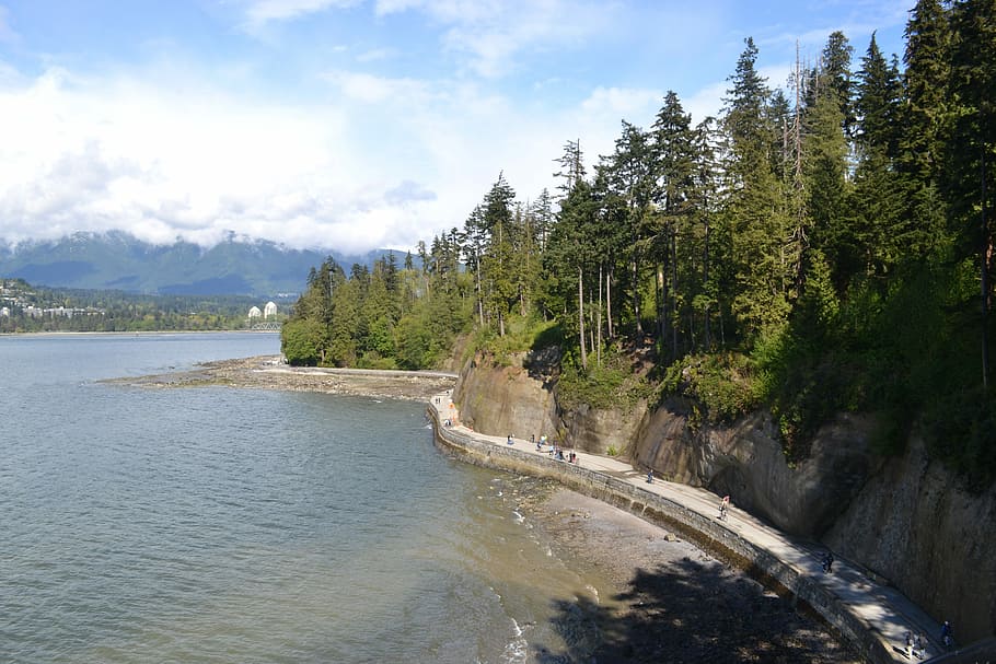 Canada, Stanley Park, Vancouver, Ocean, landscape, cold, tree, HD wallpaper