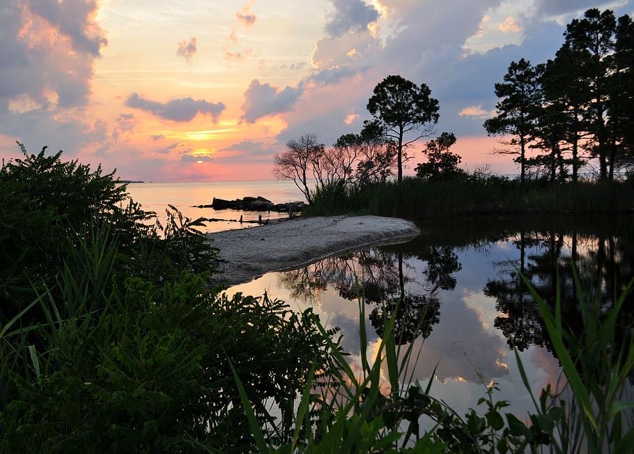 sunset, water, tree, landscape, evening, sky, cloud - sky, beauty in nature HD wallpaper
