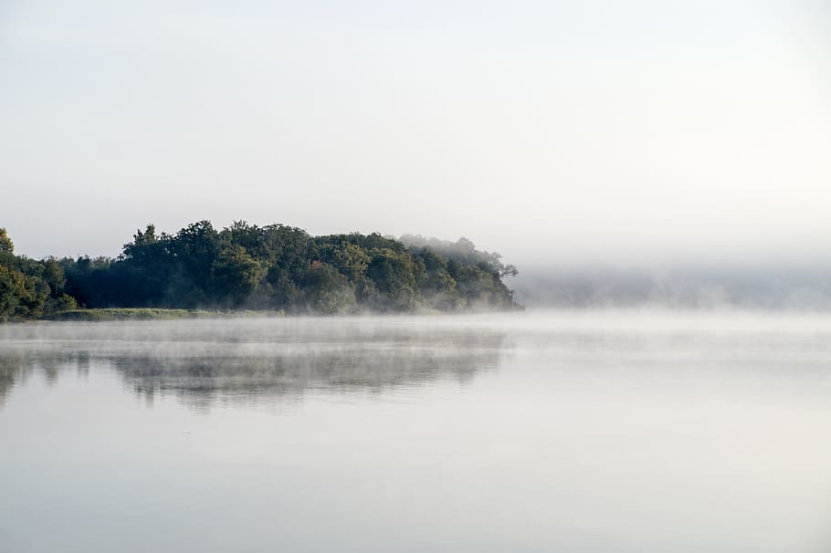 landscape, water, mood, forest, fog, tree, tranquility, tranquil scene HD wallpaper