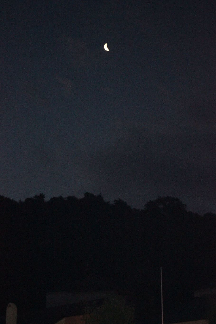 Night Sky, Forest, Crescent Moon, moonlight, nature, dark, scenics HD wallpaper