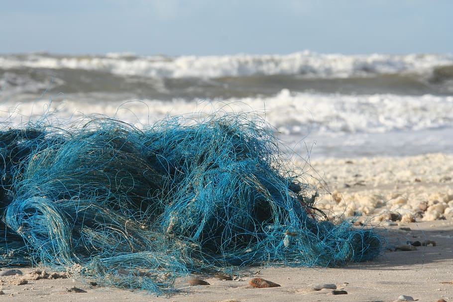 sea, wave, flotsam, blue, beach, water, baltic sea, surf, coast HD wallpaper