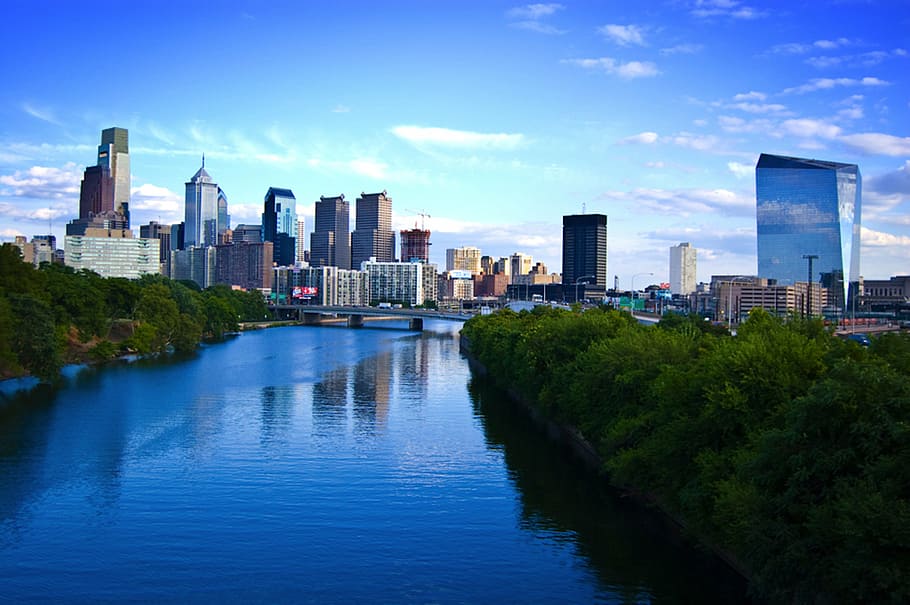 photo of a river between green trees, philadelphia, city, downtown, HD wallpaper